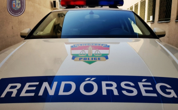 Hoteltulajdonos és taxis segítette a madamot