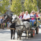 Szüreti felvonulás és borszentelés Kiskunfélegyházán