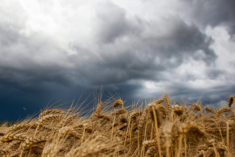 A hét elején véget ér a forróság