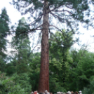 Hétvégi kiruccanás a Szarvasi Arborétum vadregényes tájain