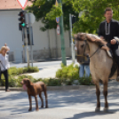 Felvonulással vette kezdetét a Kunfakó Ünnep