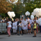 Mindenkit vár a jubileumi libafesztivál