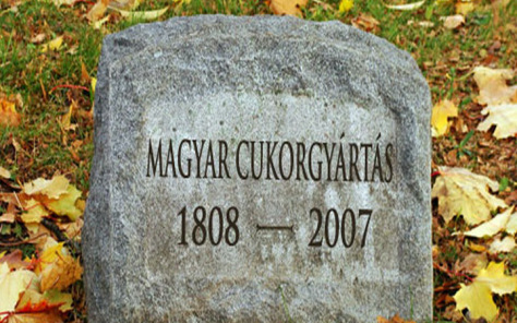 Feltámadnak a magyar cukorgyárak?