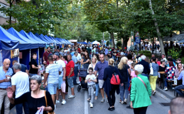 Libafesztivált rendeznek Kiskunfélegyházán