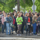 A Zöld nap évről-évre a legnagyobb buli