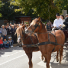 Szüreti felvonulás 2017.