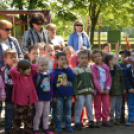 Fák és Madarak Napja a Százszorszép Óvodában