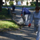 Több zsák szemetet gyűjtöttek