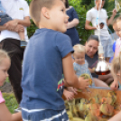 Mindenkit vár a jubileumi libafesztivál