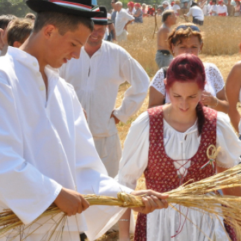 Arató fesztivál Haleszban