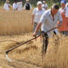 Arató fesztivál Haleszban