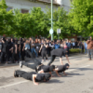 A Zöld nap évről-évre a legnagyobb buli