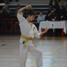 Kiskun Kupa Kyokushin Karate Verseny