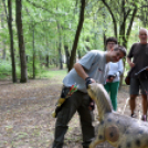 Versenyeztek és versenyt szerveztek a Koppányok