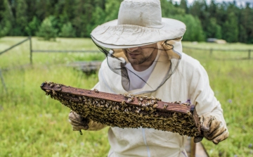 Szeretnék életre kelteni a Félegyházi Védjegyet méhészeink