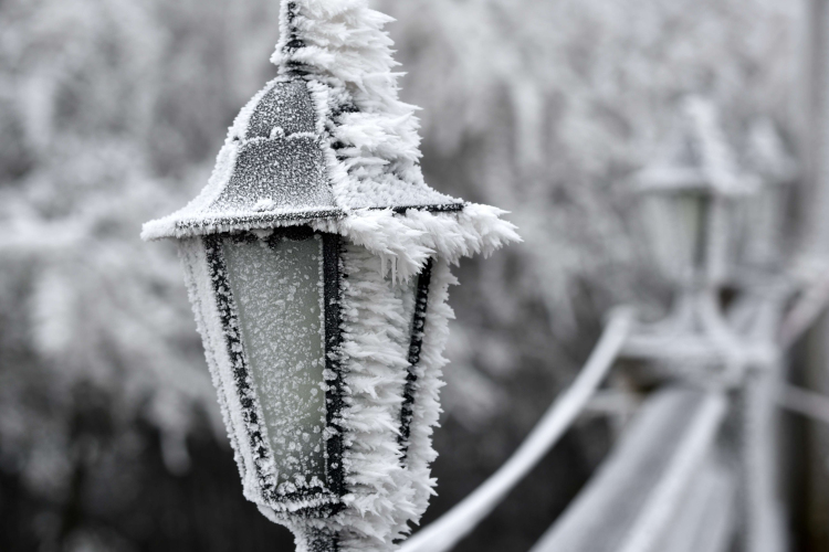 Nem okoz terméskiesést a tavasz eleji fagy 