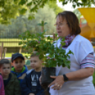 Fák és Madarak Napja a Százszorszép Óvodában