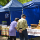 Majális a Parkerdőben