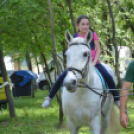 Majális a Parkerdőben