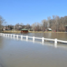 Árad a Tisza Tőserdőnél