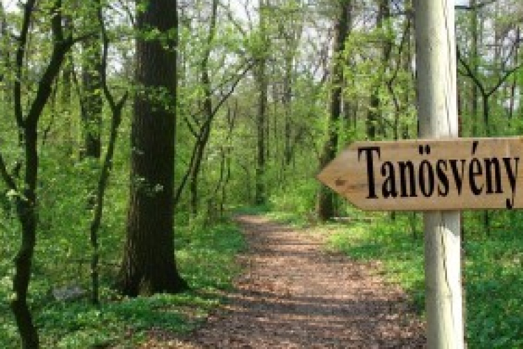 Erdei kiránduló- és pihenőhely, tanösvény…