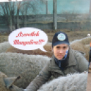 A Mezgések is képviseltették magukat a Mangalica Fesztiválon