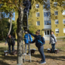 Segítettek, holott ők is segítségre szorulnak