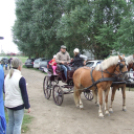 Mezgé Suli Piknik a Tangazdaságban