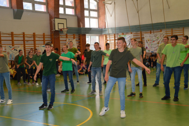 Gólyaavatót tartottak a Mezgében
