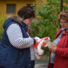 17 bográcsban rotyogott a paprikás