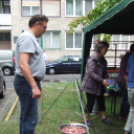 Illatfelhő leng a Kazinczy utca környékén