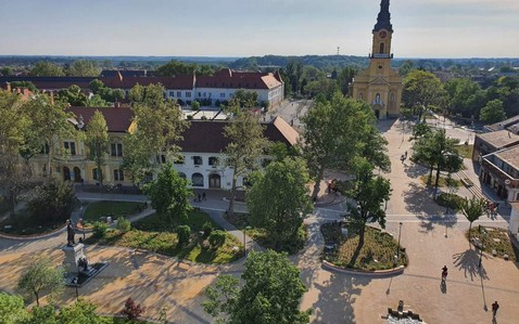 Főtéri platánfák növényvédelmi permetezése