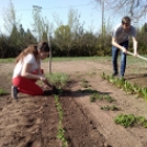 Vegyszermentes zöldfűszereket és zöldségeket termelnek a mezgés diákok