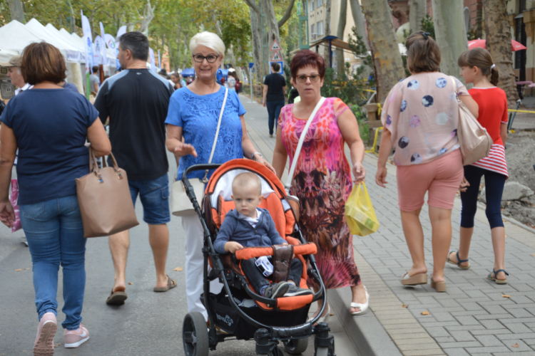 A gyerekek is élvezték a Libafesztivált