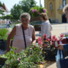 Virágba borult a főtér