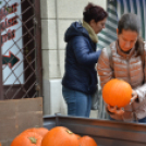 Virágba borult a Korona utca