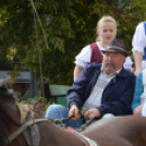 Szüreti felvonulás 2017.