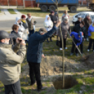 Két kerékkel a Bankfalui Emlékparkba