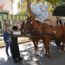 Szüreti felvonulás a Kossuth utcán