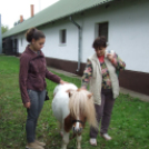 Mezgé Suli Piknik a Tangazdaságban