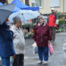 A barátságtalan idő ellenére is sokan ellátogattak a virágünnepre