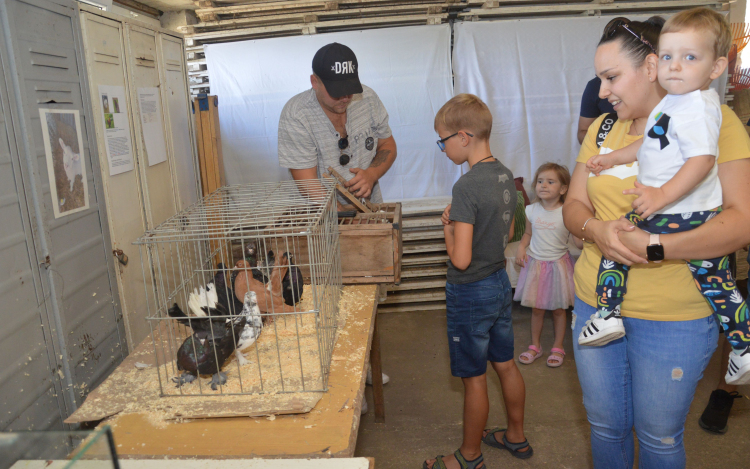 Évről-évre egyre népszerűbb a Mezgé Piknik