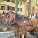 Az új kenyér ünnepe Kiskunfélegyházán