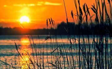 Élvezzük ki a nyárias időt, amíg lehet