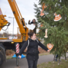 Lelkesen díszítették a fiatalok a lakótelep karácsonyfáját