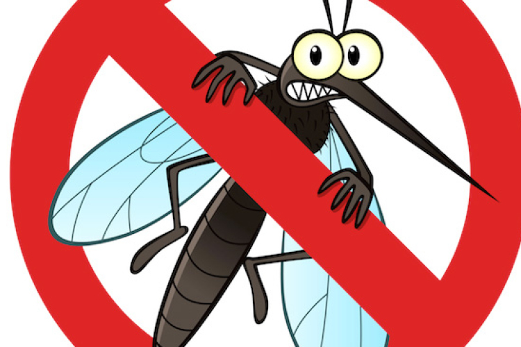 Szúnyoggyérítés várható Kiskunfélegyházán