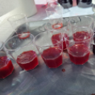 Lassú turizmus és csúcstechnológia – erdélyi szakmai úton a Kiskunfélegyházi Közgazdasági Technikum tanárai