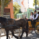 Szüreti felvonulás a Kossuth utcán