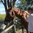 Szakmakóstoló tábort rendezett a Mezgé