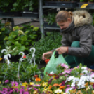 A barátságtalan idő ellenére is sokan ellátogattak a virágünnepre